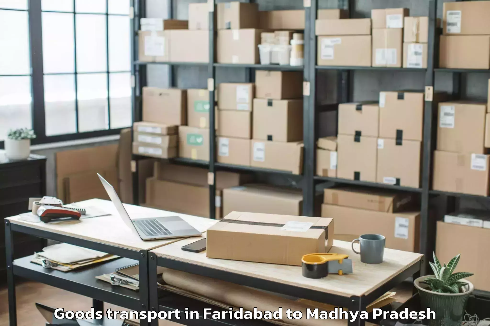 Discover Faridabad to Bhopal Airport Bho Goods Transport